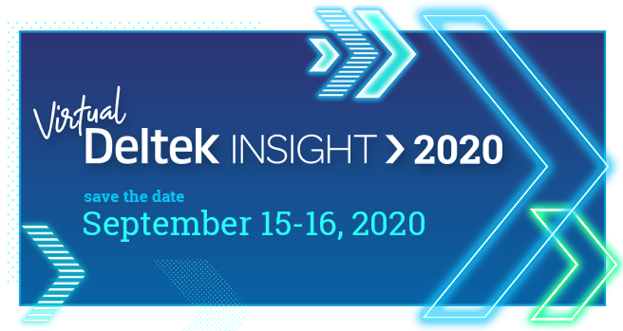 Deltek Insight